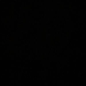 Meet your Posher, Lilly